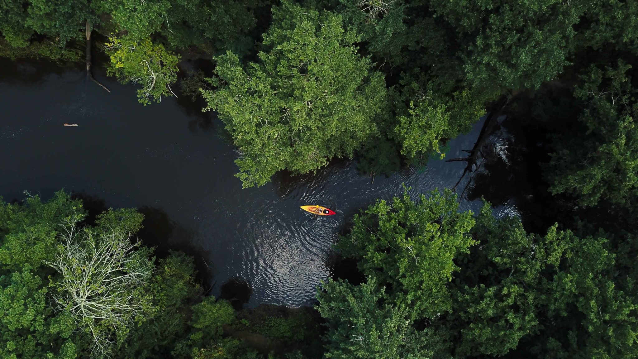 la Leyre microaventure en CANoeKAYAK Un duvet pour deux