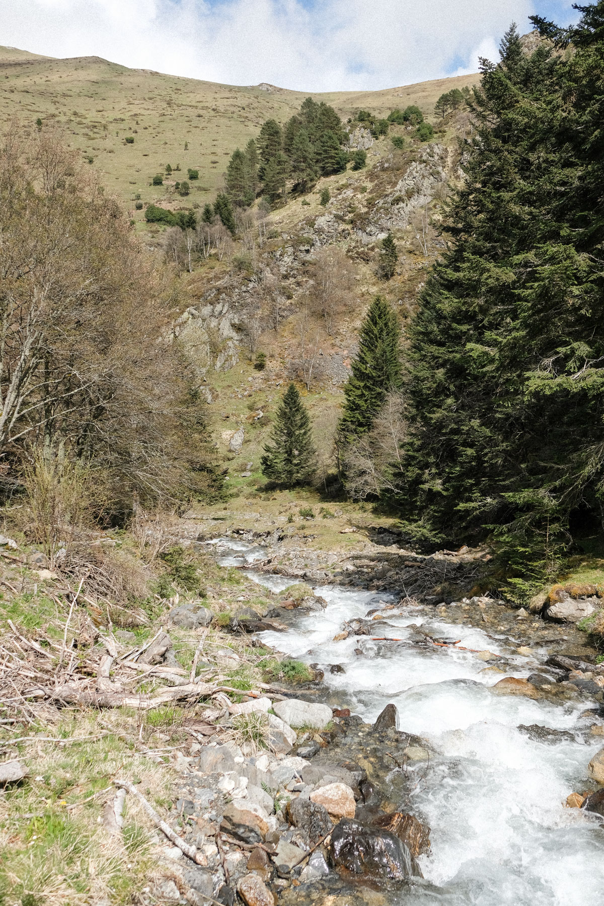 Nature - Pyrénées