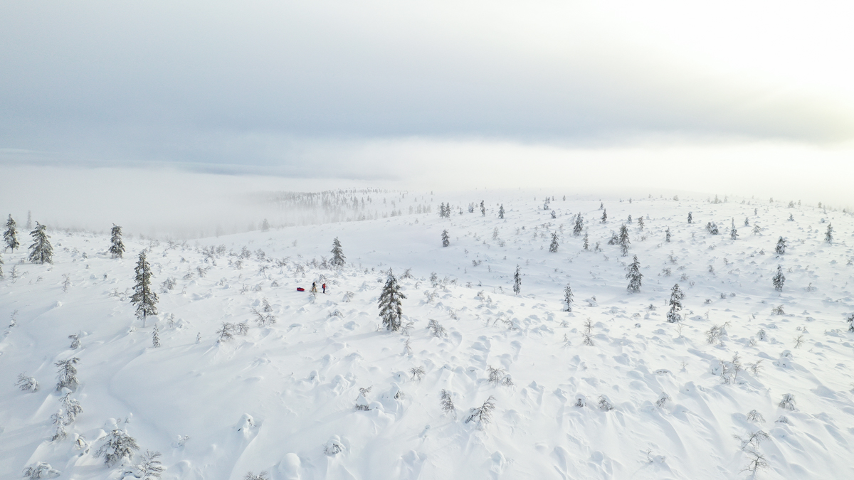 expedition a ski et pulka en Laponie