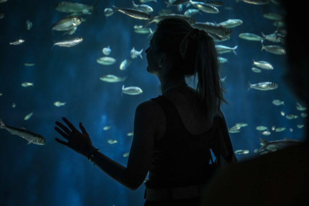 aquarium de La Rochelle
